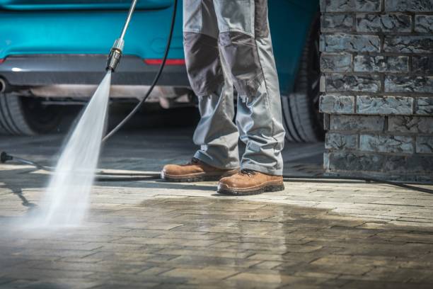 Best Driveway Pressure Washing  in Townsend, DE
